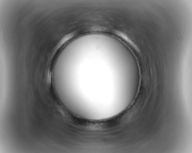 X0000086041221200704091144