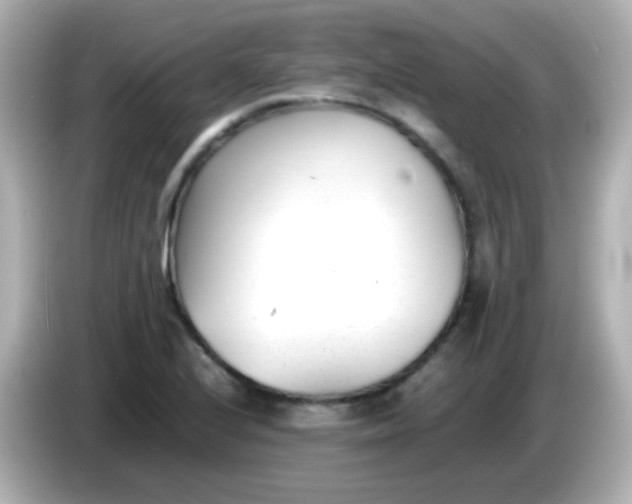 X0000086041224200704091144