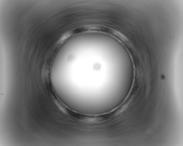 X0000086041225200704091144