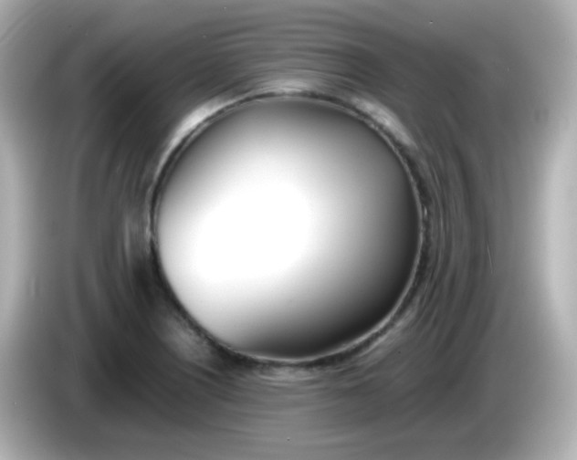 X0000086041226200704091144