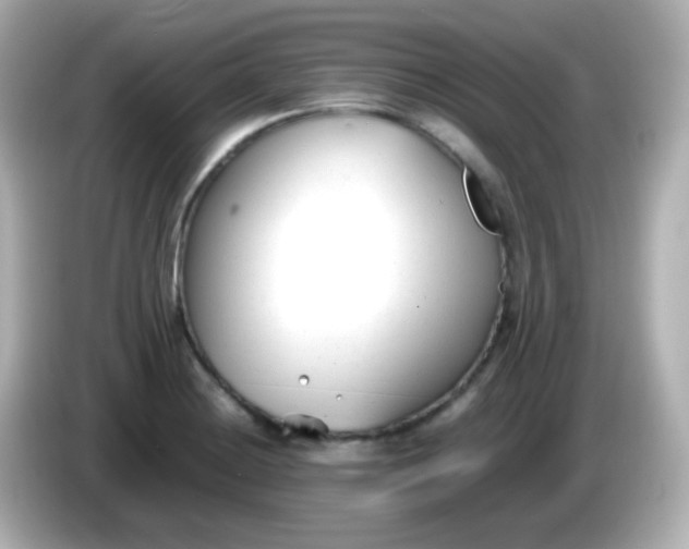 X0000086041228200704091145