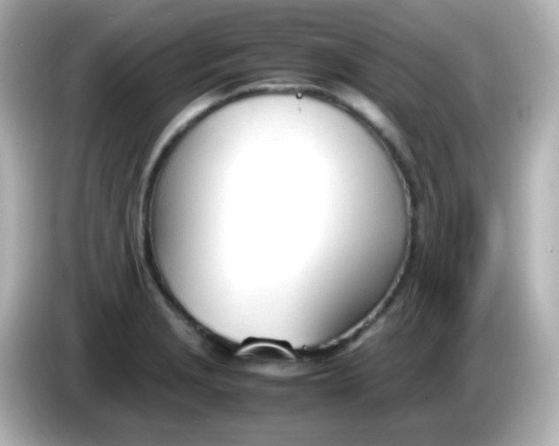 X0000086041229200704091145