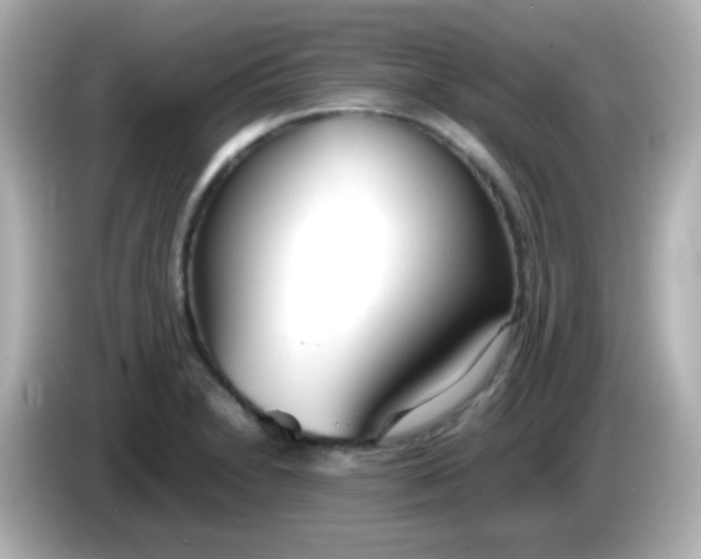 X0000086041230200704091145
