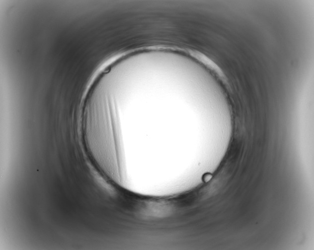 X0000086041231200704091145