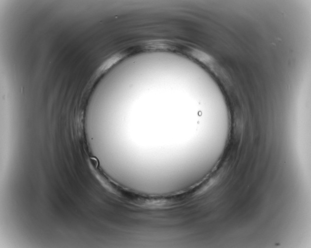X0000086041233200704091145