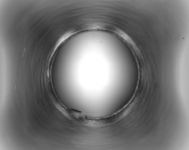 X0000086041234200704091145