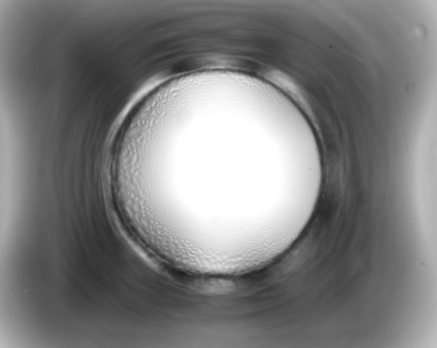 X0000086041235200704091145