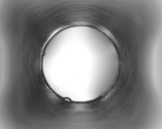 X0000086041236200704091145