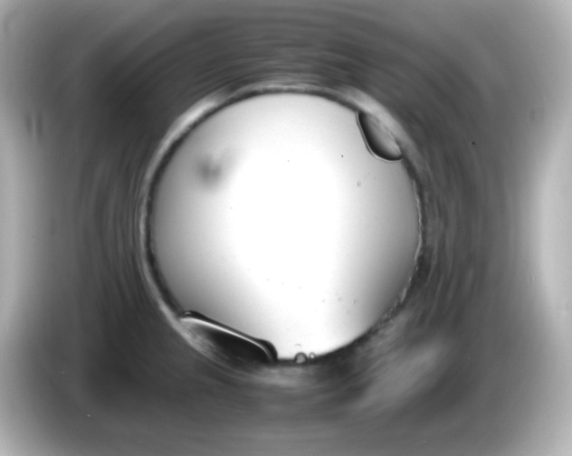 X0000086041237200704091145