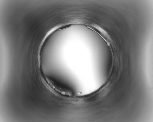 X0000086041238200704091145