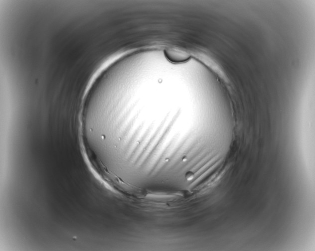 X0000086041239200704091145
