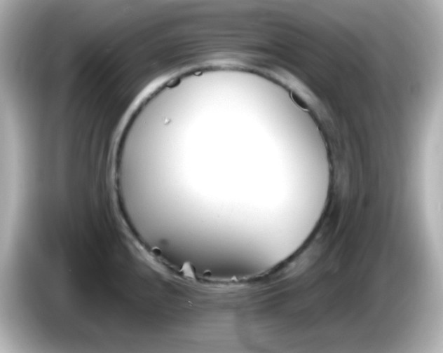 X0000086041240200704091145