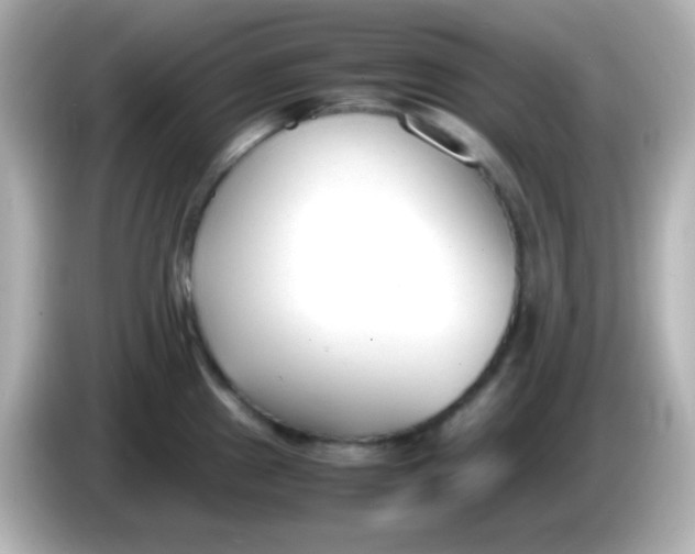 X0000086041241200704091145