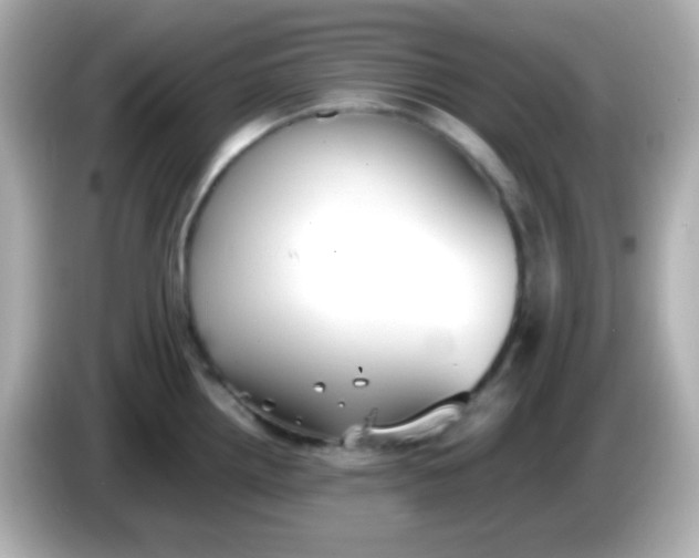 X0000086041242200704091145