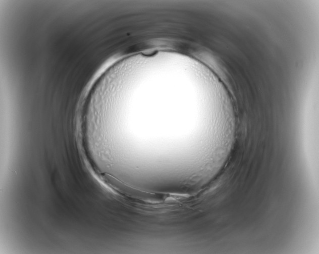X0000086041243200704091145