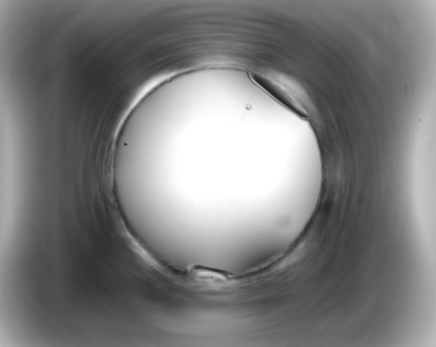 X0000086041244200704091145