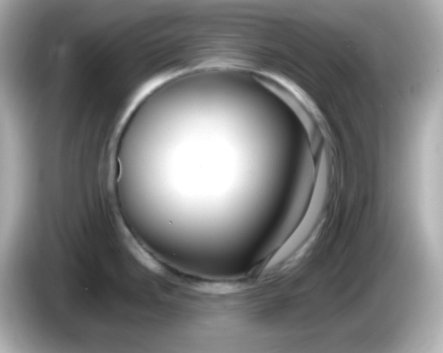 X0000086041246200704091145