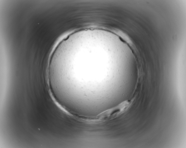 X0000086041247200704091145
