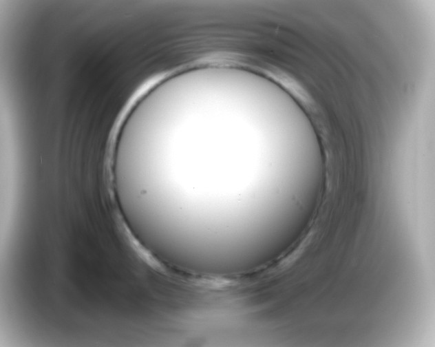X0000086041248200704091145