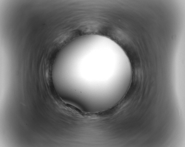 X0000086041250200704091144