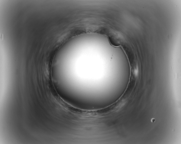X0000086041252200704091144