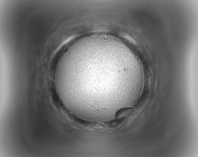X0000086041255200704091144