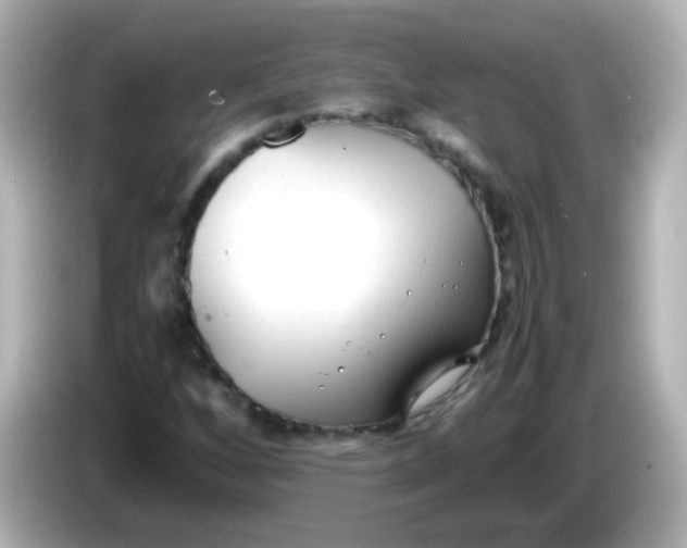 X0000086041256200704091144