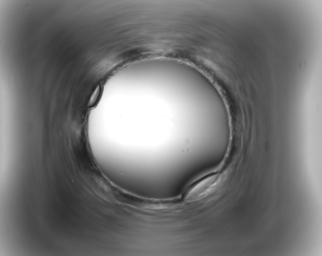X0000086041257200704091144