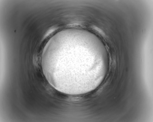 X0000086041258200704091144