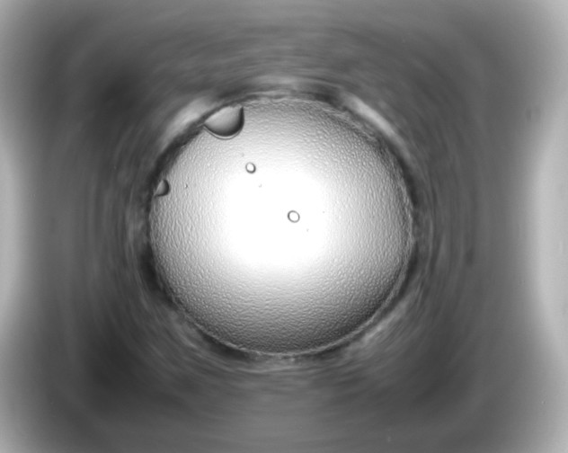 X0000086041259200704091144