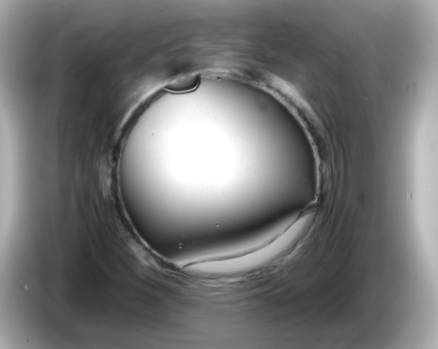 X0000086041260200704091144