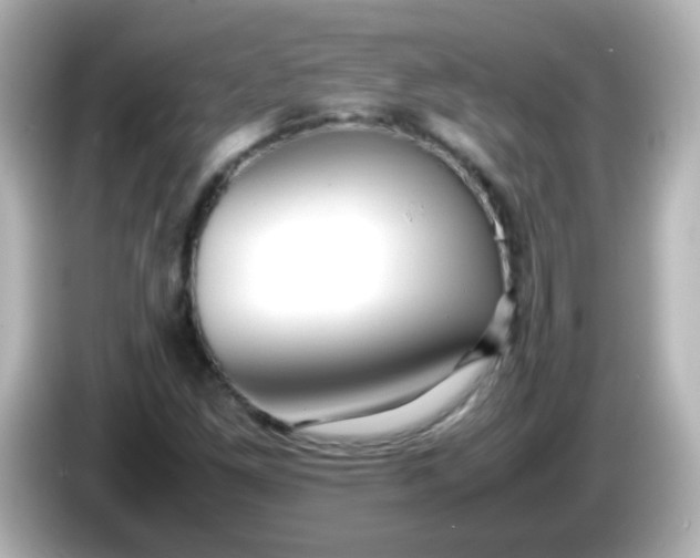 X0000086041261200704091144