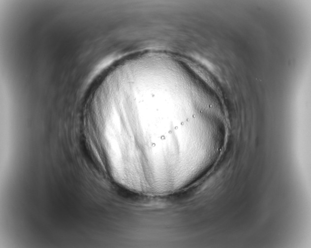 X0000086041263200704091144