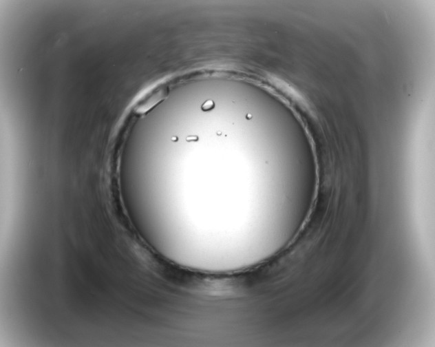 X0000086041264200704091144
