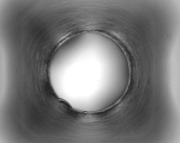 X0000086041265200704091144