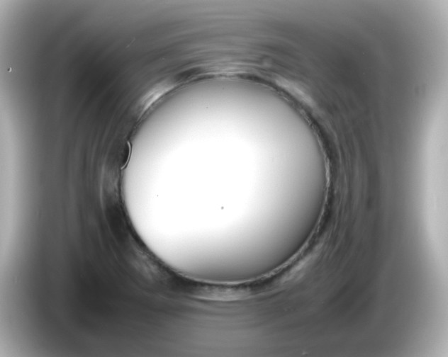 X0000086041273200704091144