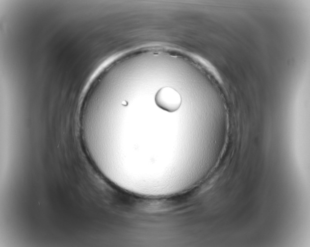 X0000086041279200704091144