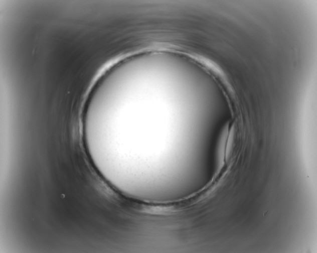 X0000086041280200704091144