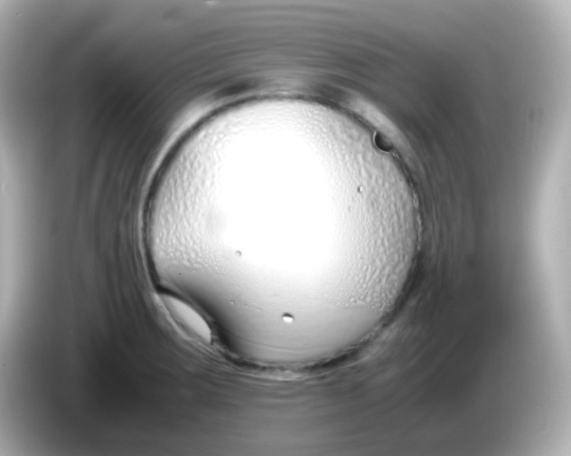 X0000086041283200704091144