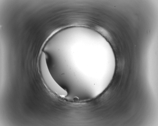 X0000086041284200704091144