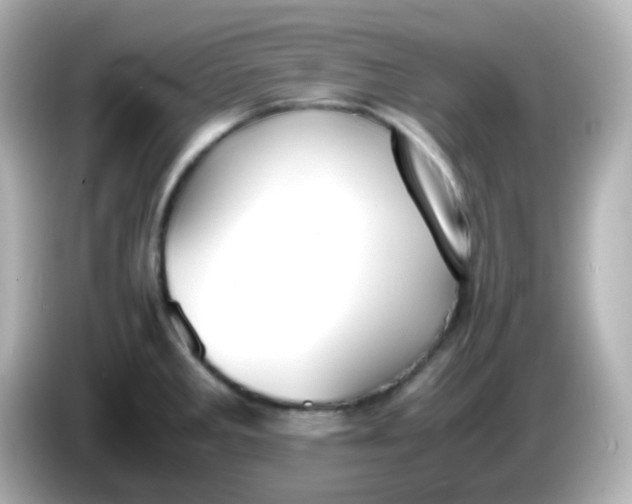 X0000086041285200704091144