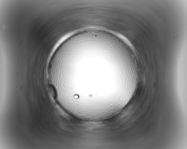 X0000086041287200704091144