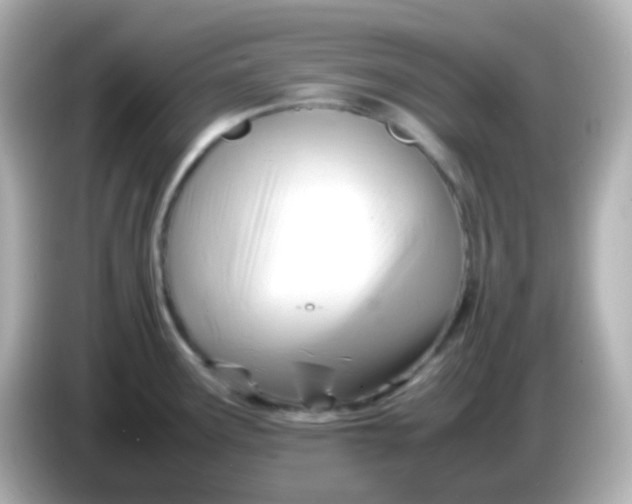 X0000086041291200704091144