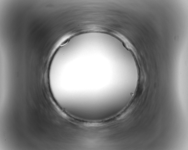 X0000086041293200704091144