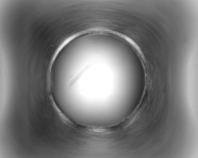 X0000086041295200704091144