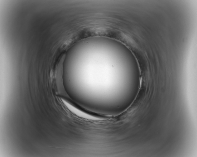 X0000086041298200704091143
