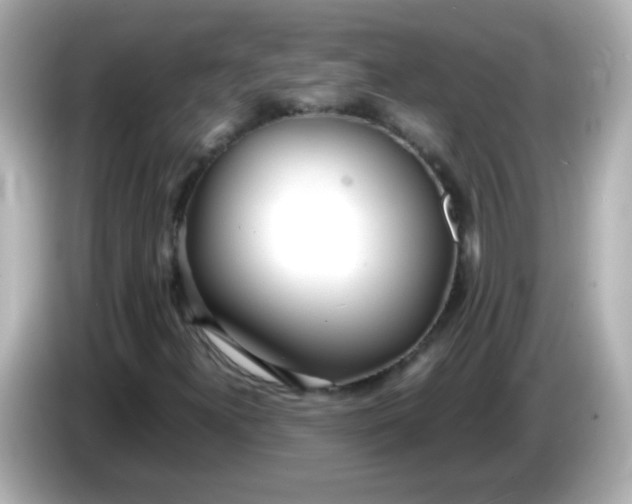 X0000086041300200704091143