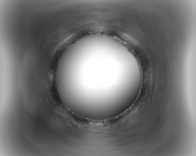 X0000086041302200704091143
