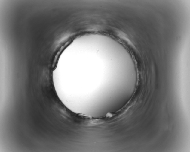 X0000086041304200704091143