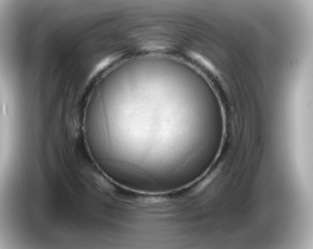 X0000086041306200704091143